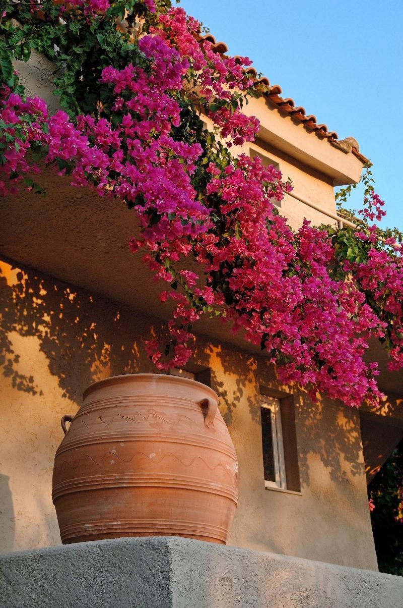 Paradise Island Villas Hersonissos  Dış mekan fotoğraf